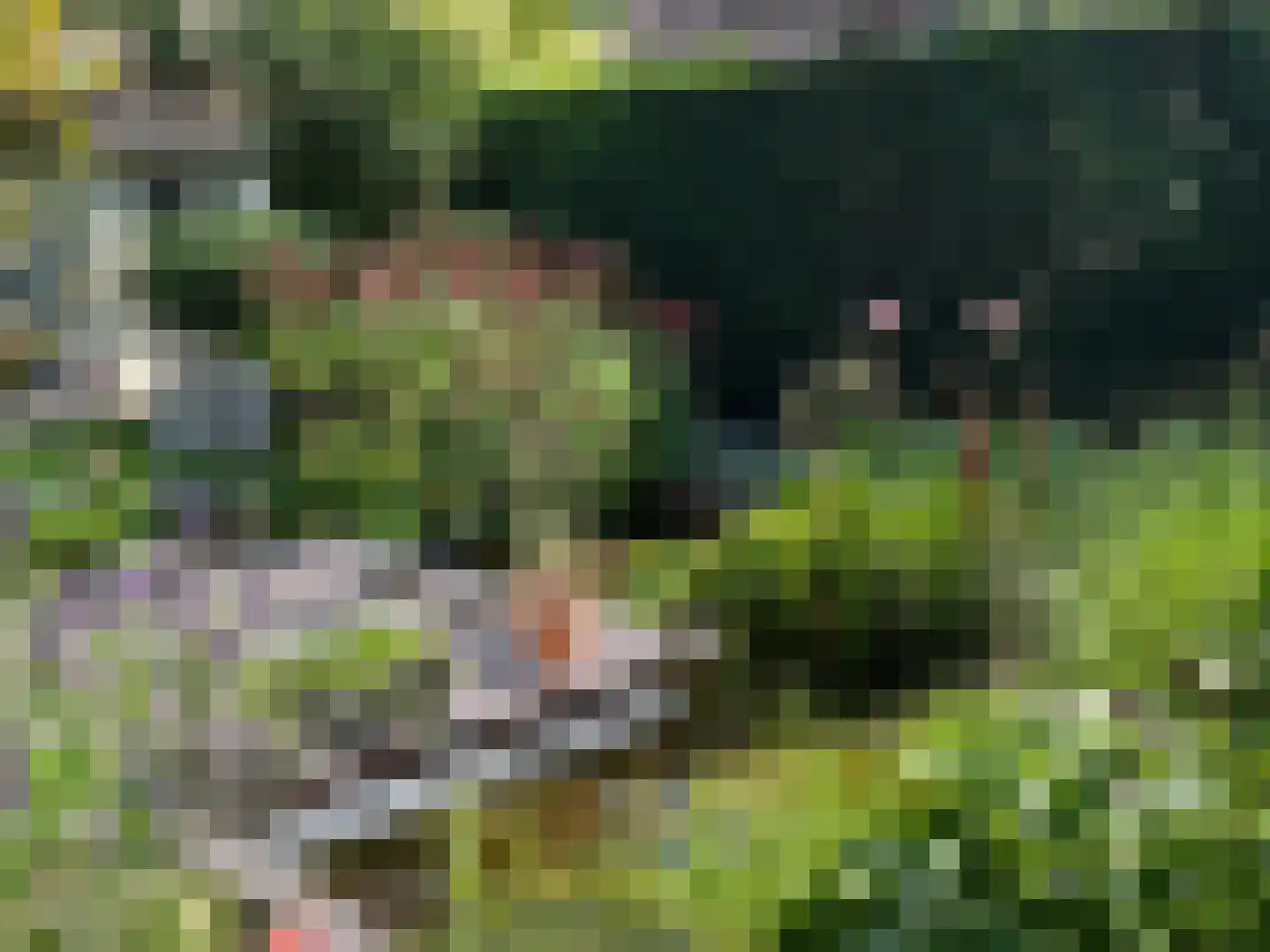 Schimmelpennincksingel 2 Diepenveen thumbnail 19