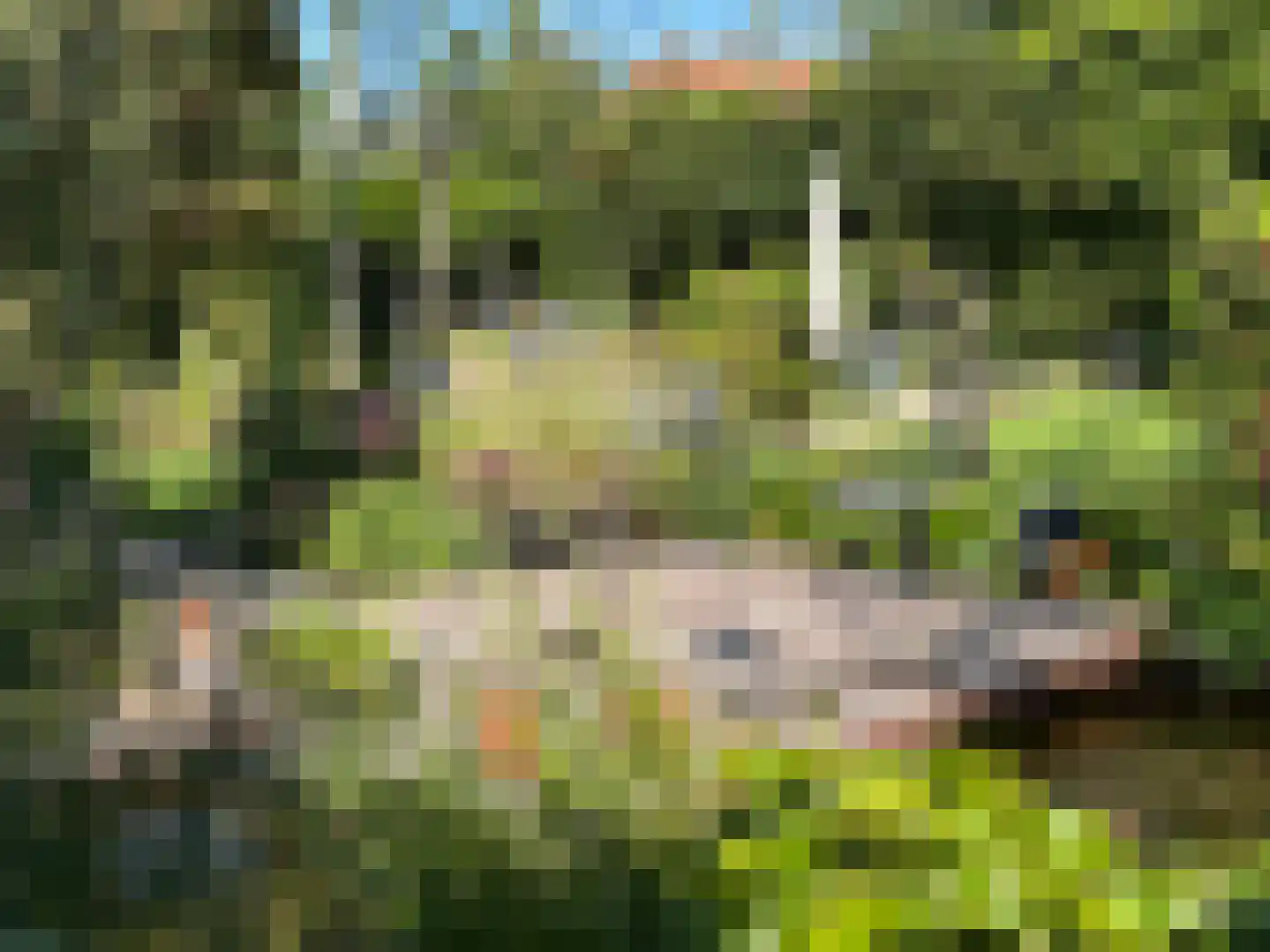 Schimmelpennincksingel 2 Diepenveen thumbnail 20