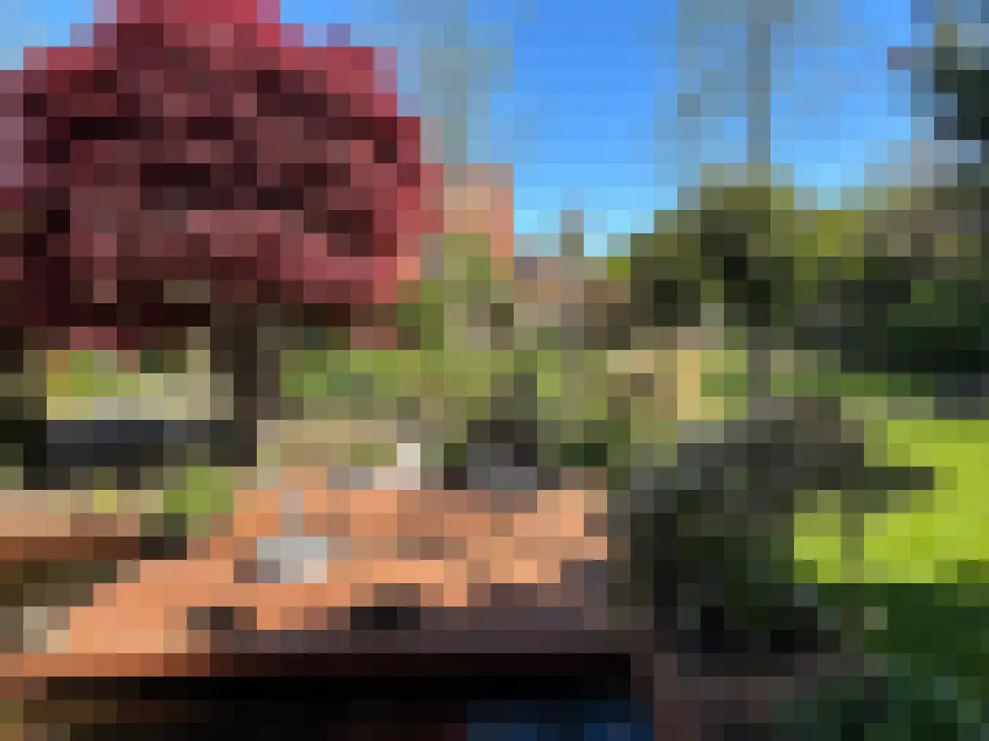 Schimmelpennincksingel 2 Diepenveen thumbnail 21