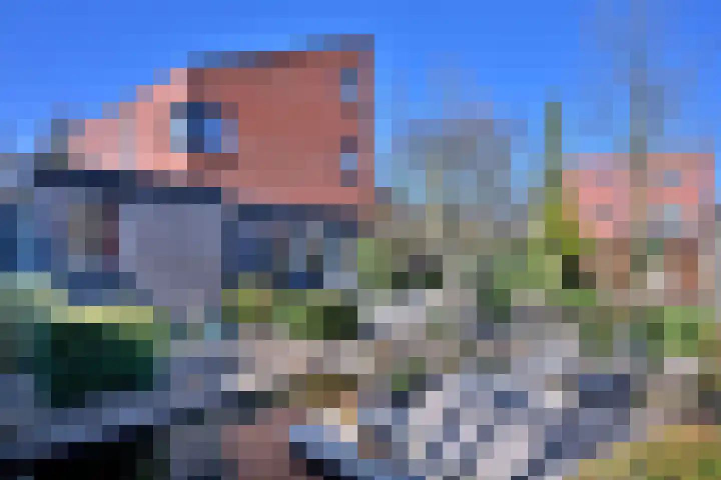 Schimmelpennincksingel 2 Diepenveen thumbnail 26