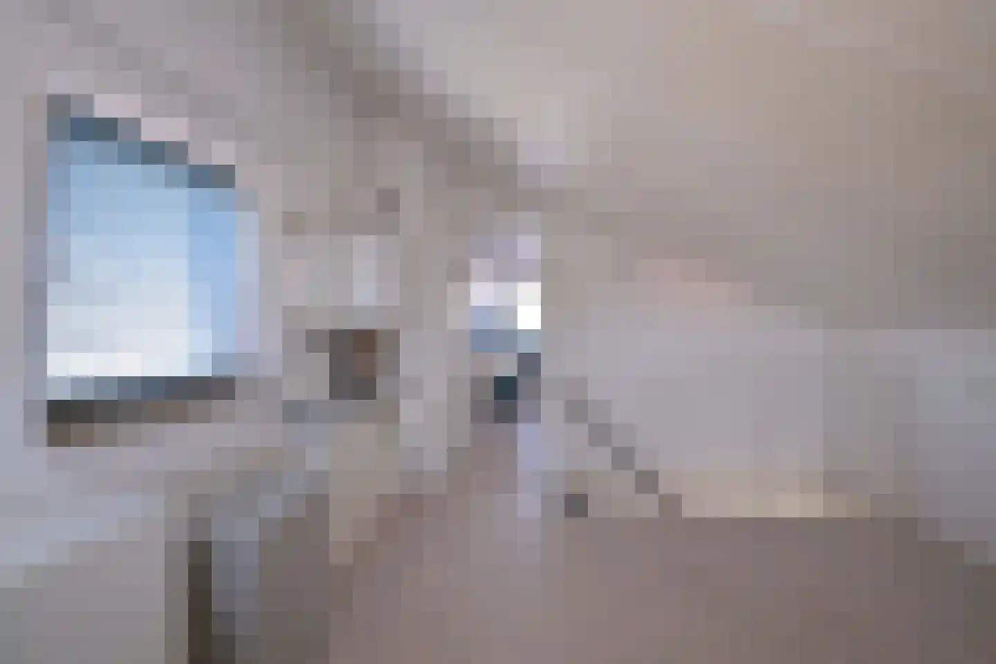 Schimmelpennincksingel 2 Diepenveen thumbnail 36