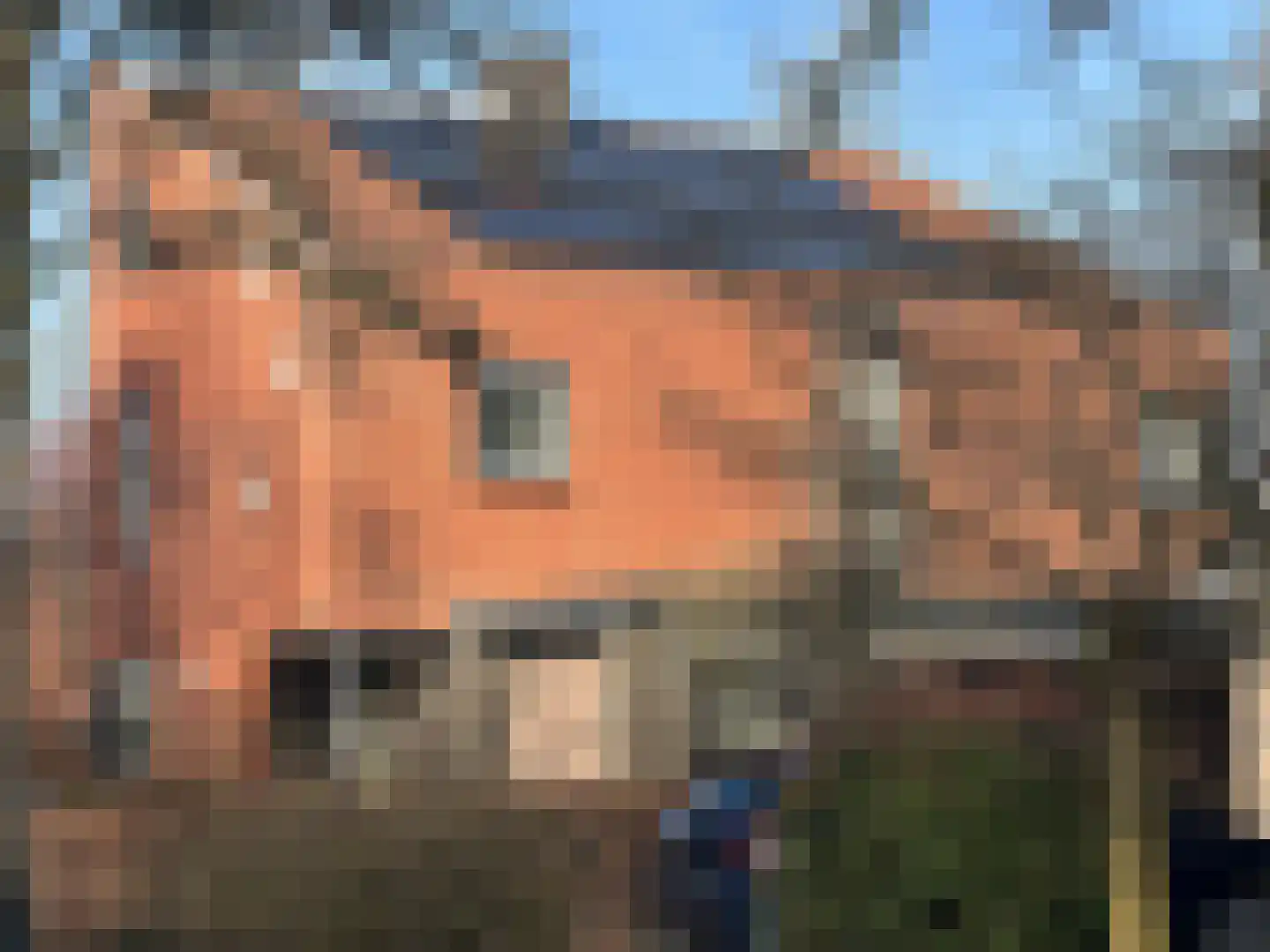 Schimmelpennincksingel 2 Diepenveen thumbnail 43