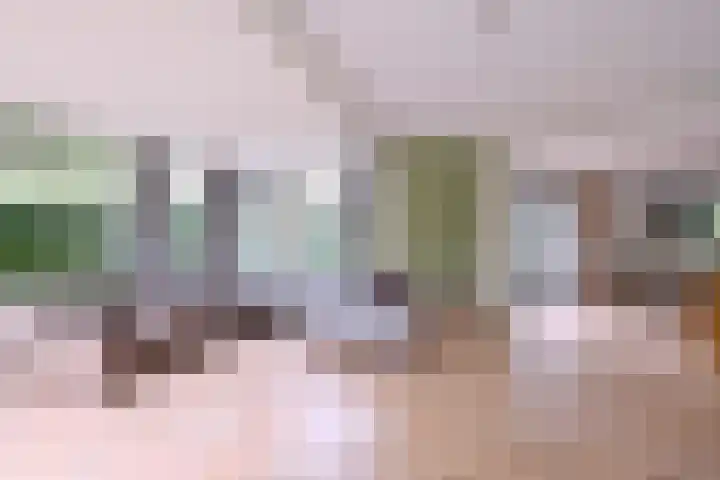 Schimmelpennincksingel 35 Diepenveen thumbnail 11