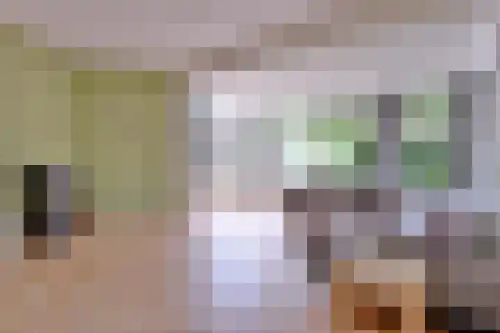 Schimmelpennincksingel 35 Diepenveen thumbnail 12