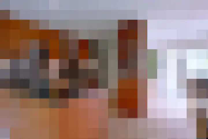 Schimmelpennincksingel 35 Diepenveen thumbnail 16