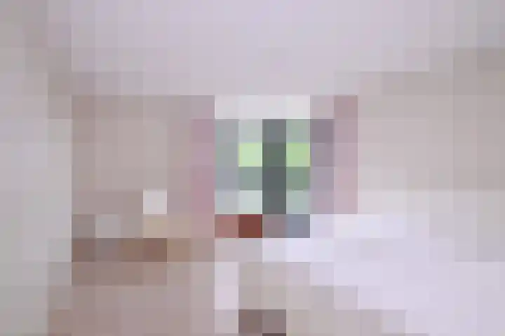 Schimmelpennincksingel 35 Diepenveen thumbnail 32