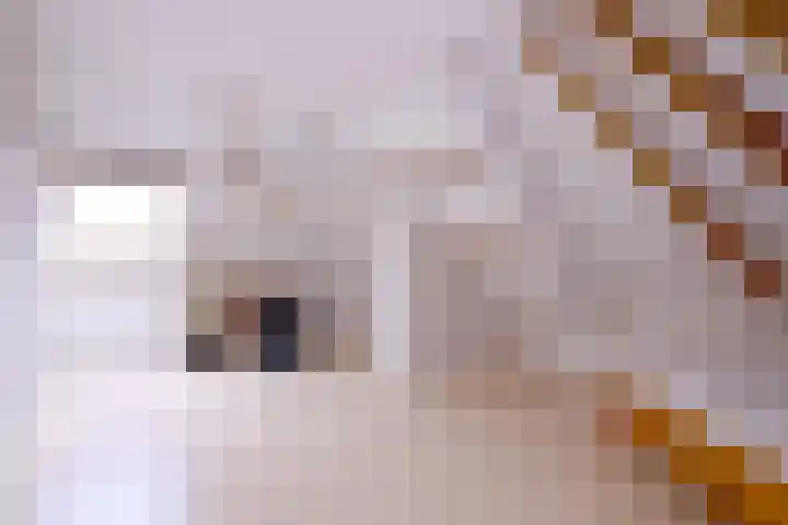 Schimmelpennincksingel 35 Diepenveen thumbnail 37