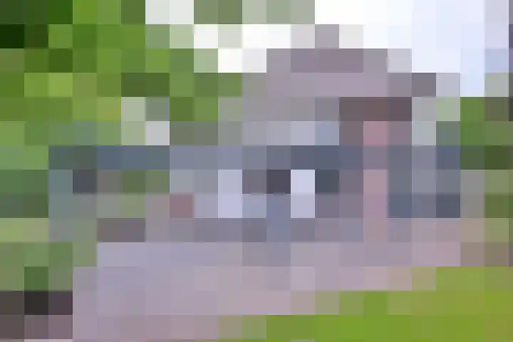 Schimmelpennincksingel 35 Diepenveen thumbnail 4