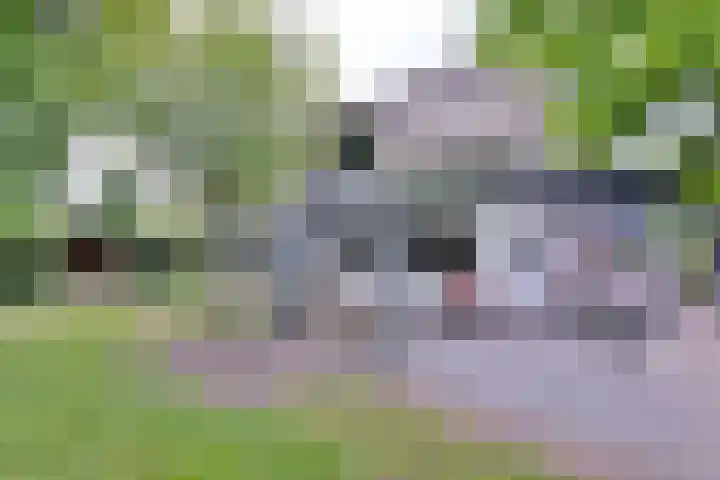 Schimmelpennincksingel 35 Diepenveen thumbnail 5