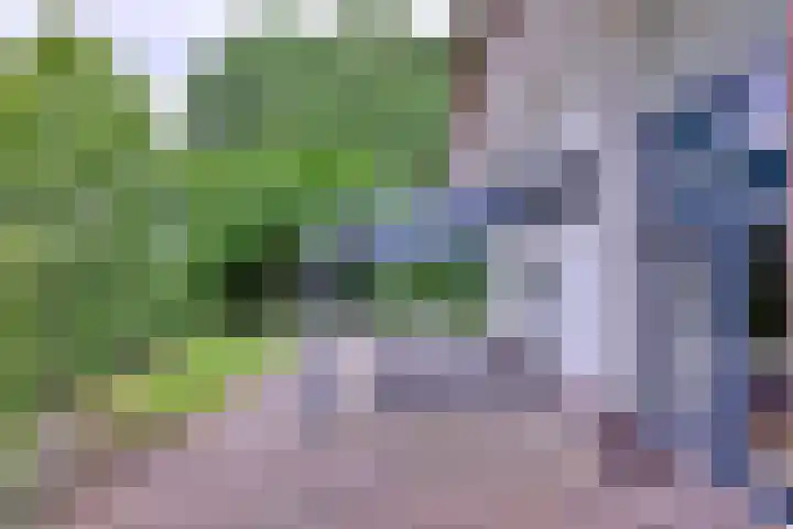 Schimmelpennincksingel 35 Diepenveen thumbnail 6