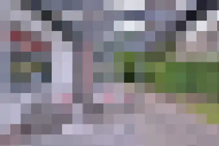 Schimmelpennincksingel 35 Diepenveen thumbnail 7