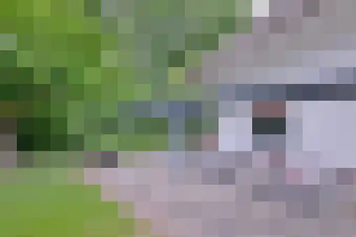 Schimmelpennincksingel 35 Diepenveen thumbnail 8