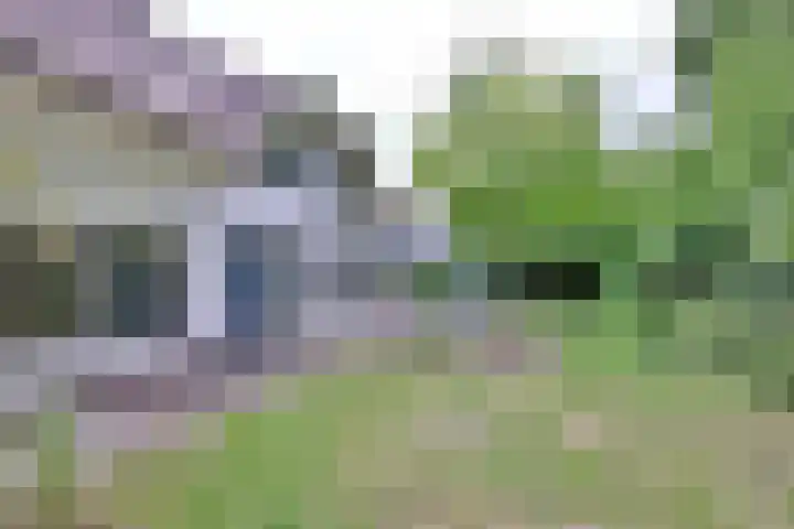 Schimmelpennincksingel 35 Diepenveen thumbnail 9