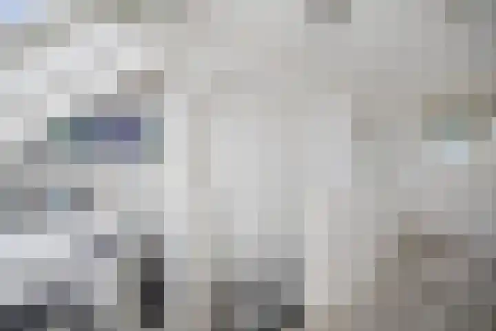 Schimmelpennincksingel 5 Diepenveen thumbnail 20