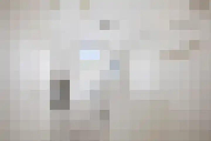 Schimmelpennincksingel 5 Diepenveen thumbnail 21