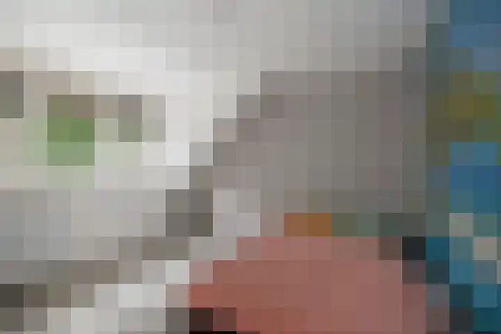 Schimmelpennincksingel 5 Diepenveen thumbnail 22