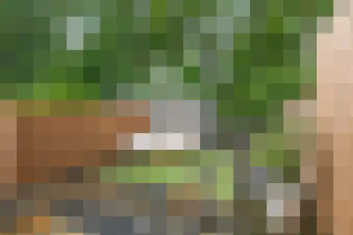 Schimmelpennincksingel 5 Diepenveen thumbnail 24