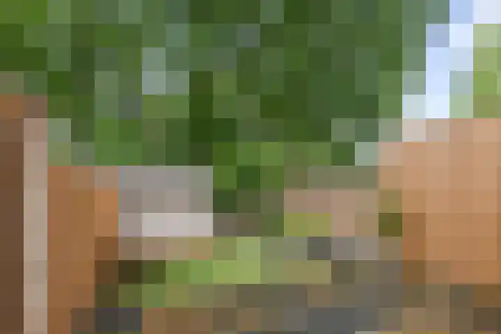 Schimmelpennincksingel 5 Diepenveen thumbnail 25