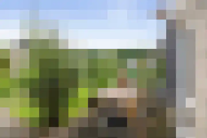 Schimmelpennincksingel 5 Diepenveen thumbnail 27