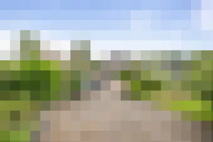 Schimmelpennincksingel 5 Diepenveen thumbnail 28