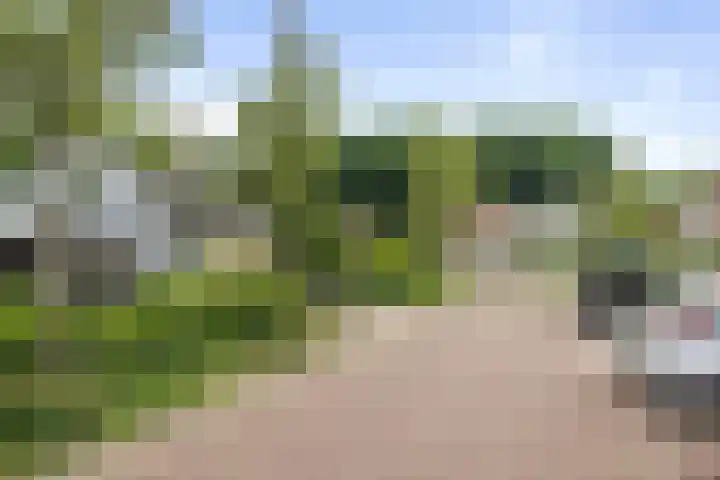 Schimmelpennincksingel 5 Diepenveen thumbnail 30