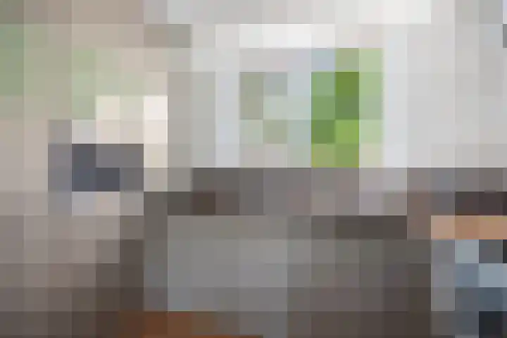 Schimmelpennincksingel 5 Diepenveen thumbnail 8