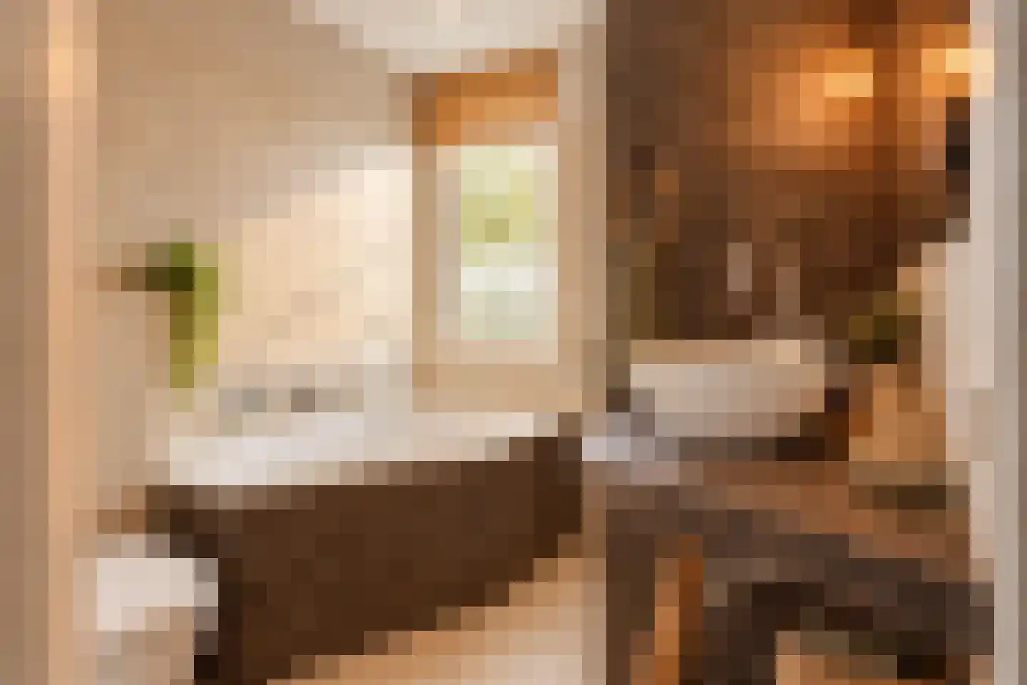 Schimmelpennincksingel 9 Diepenveen thumbnail 15