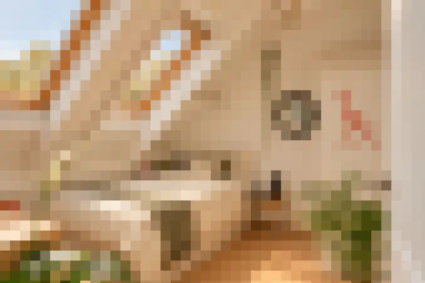 Schimmelpennincksingel 9 Diepenveen thumbnail 18