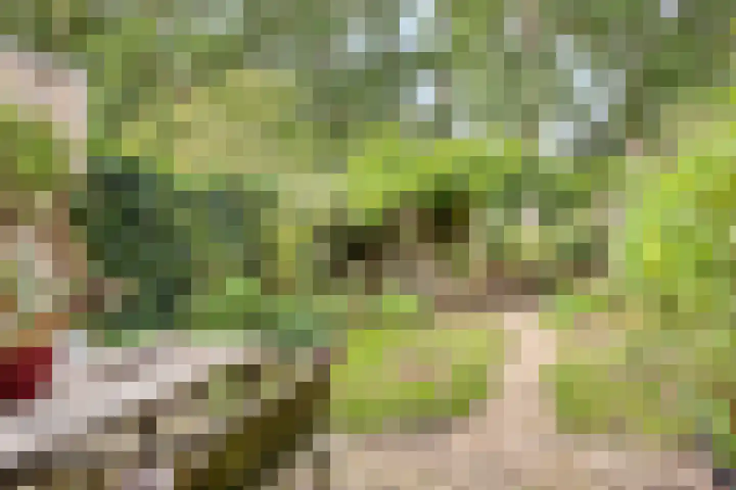 Schimmelpennincksingel 9 Diepenveen thumbnail 21