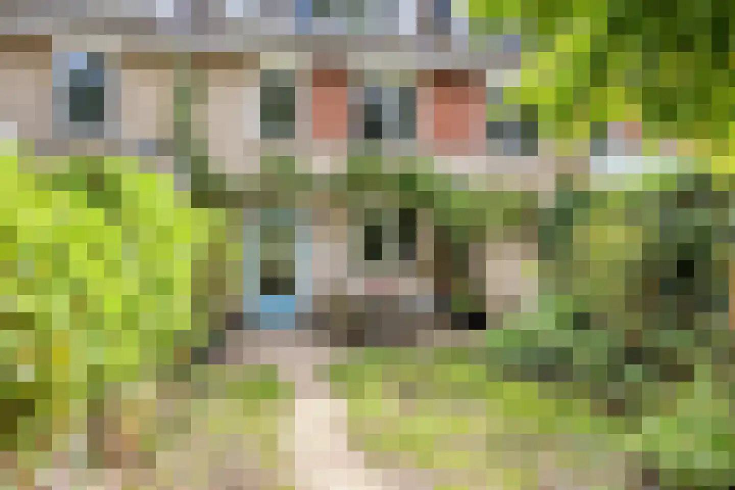 Schimmelpennincksingel 9 Diepenveen thumbnail 23