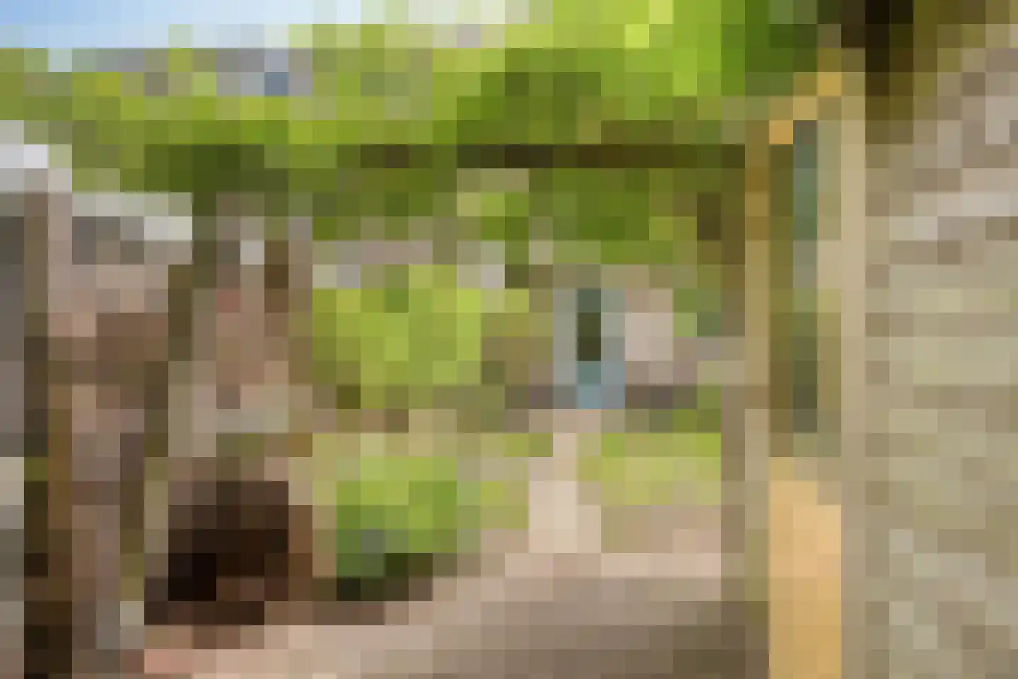 Schimmelpennincksingel 9 Diepenveen thumbnail 24