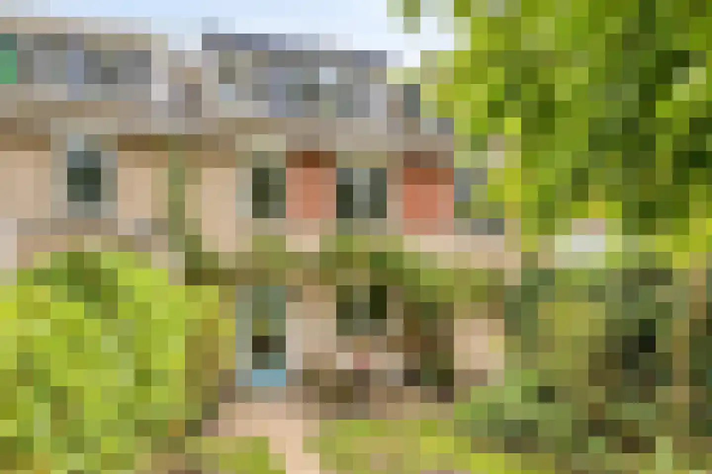 Schimmelpennincksingel 9 Diepenveen thumbnail 25