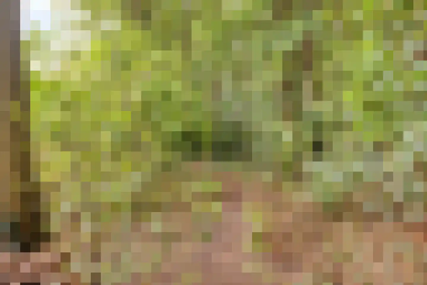 Schimmelpennincksingel 9 Diepenveen thumbnail 26