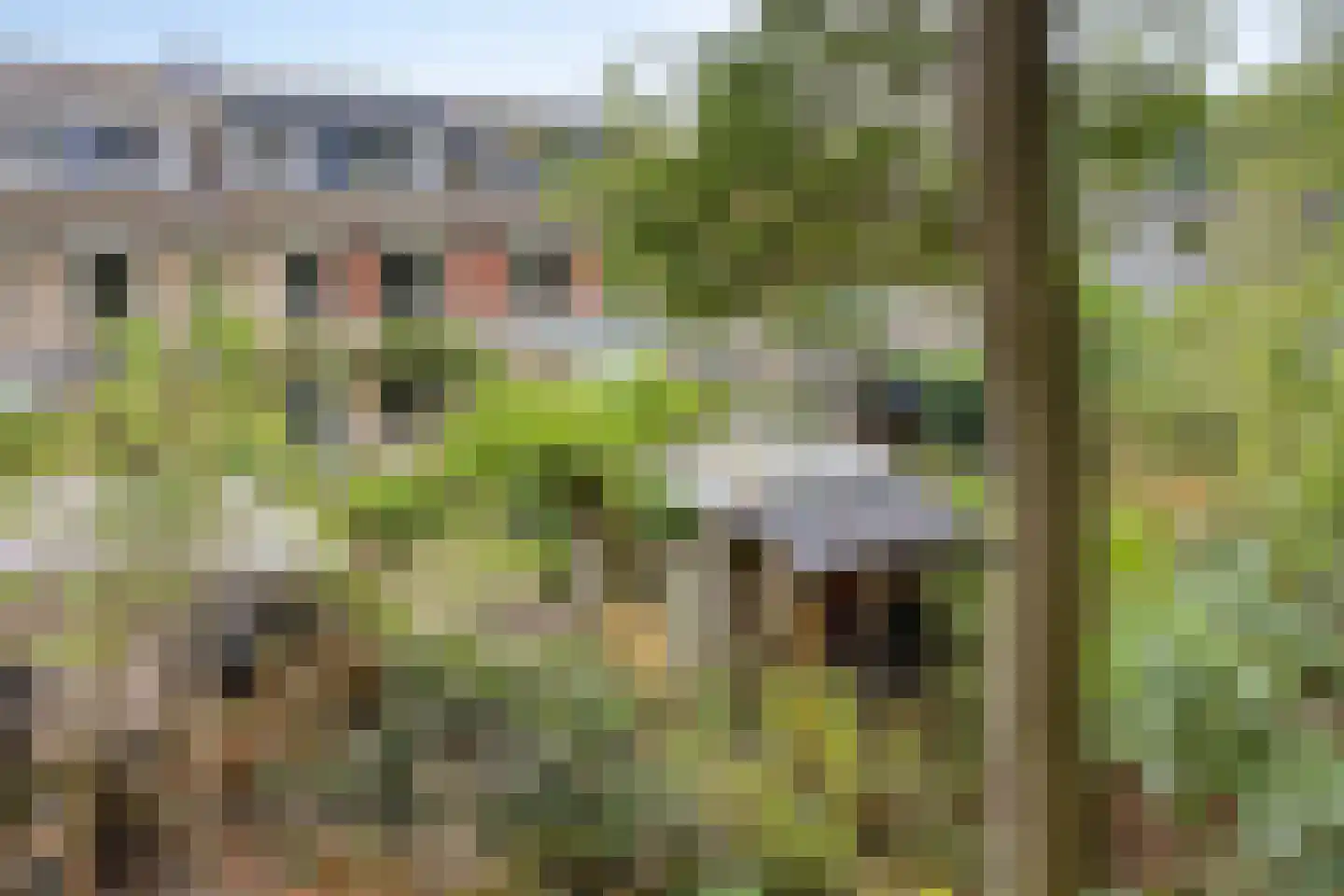 Schimmelpennincksingel 9 Diepenveen thumbnail 28