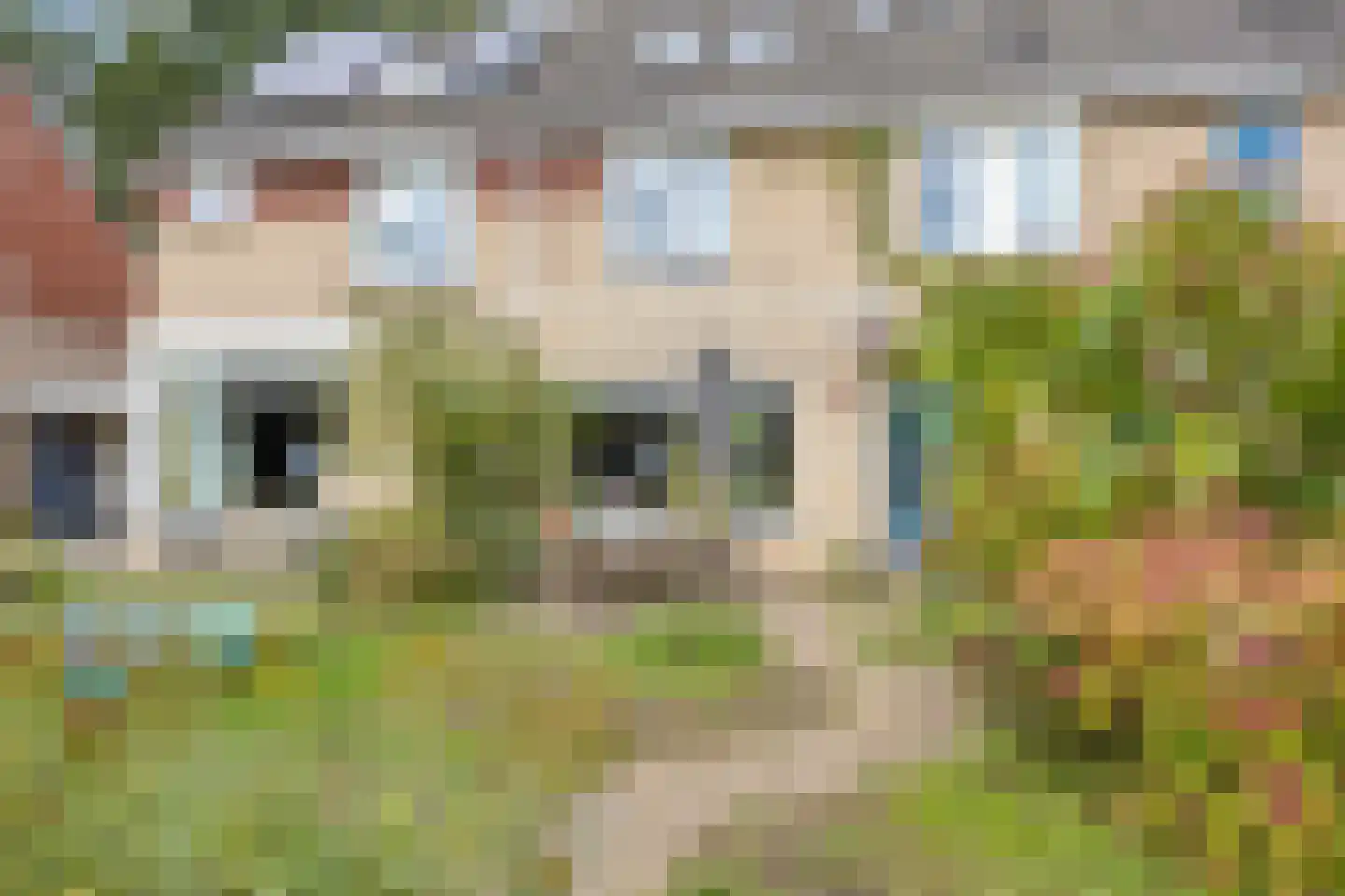 Schimmelpennincksingel 9 Diepenveen thumbnail 29