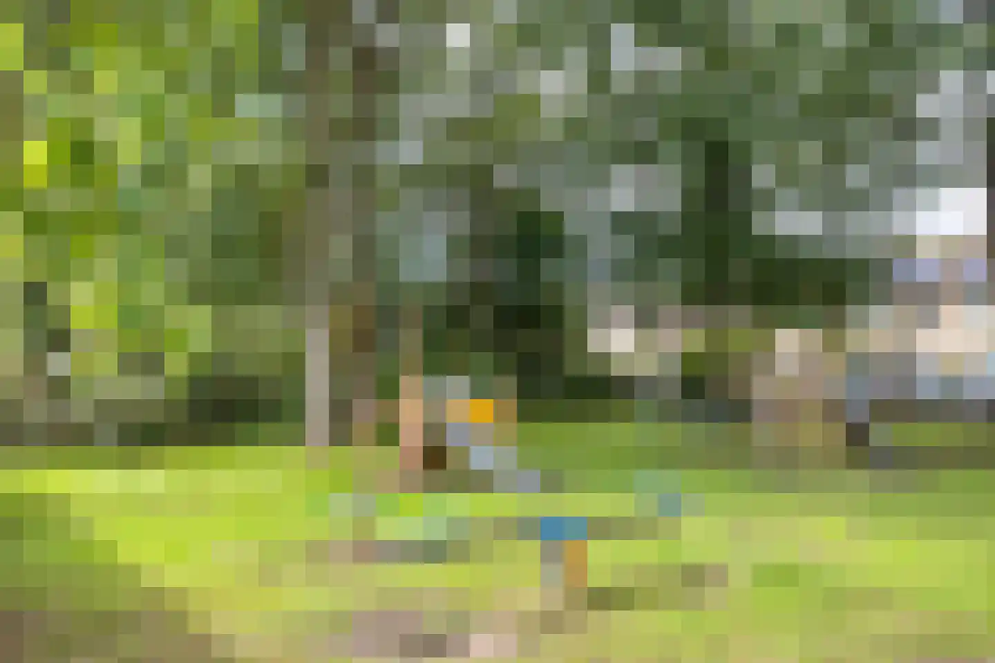 Schimmelpennincksingel 9 Diepenveen thumbnail 33