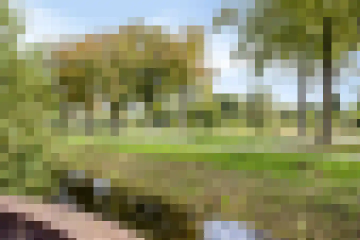 Schimmelpennincksingel 9 Diepenveen thumbnail 34