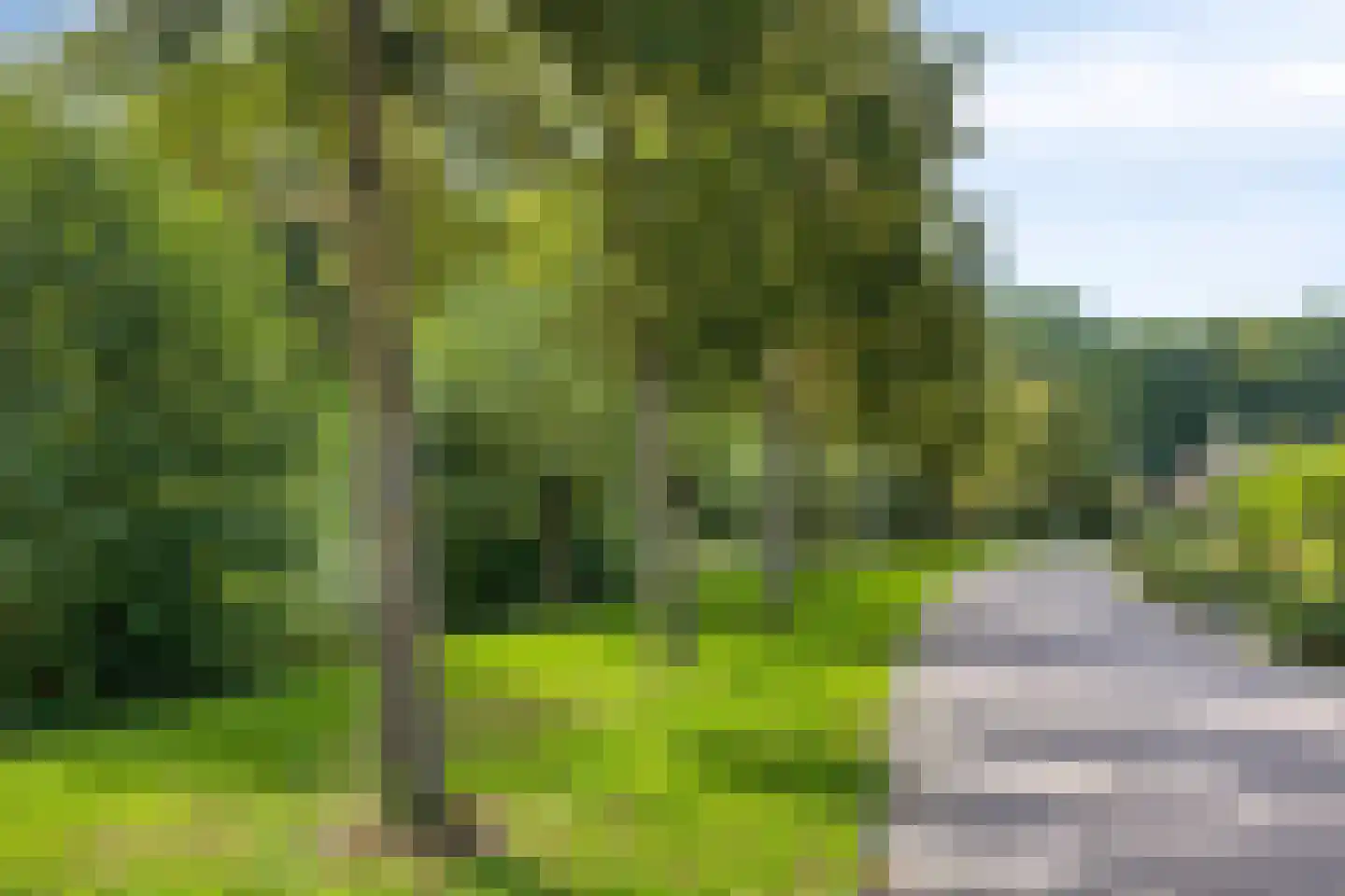 Schimmelpennincksingel 9 Diepenveen thumbnail 35