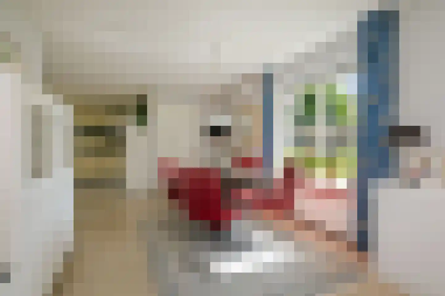 Schimmelpennincksingel 96 Diepenveen thumbnail 14