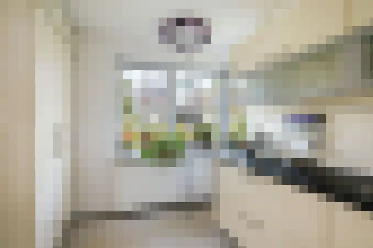 Schimmelpennincksingel 96 Diepenveen thumbnail 16