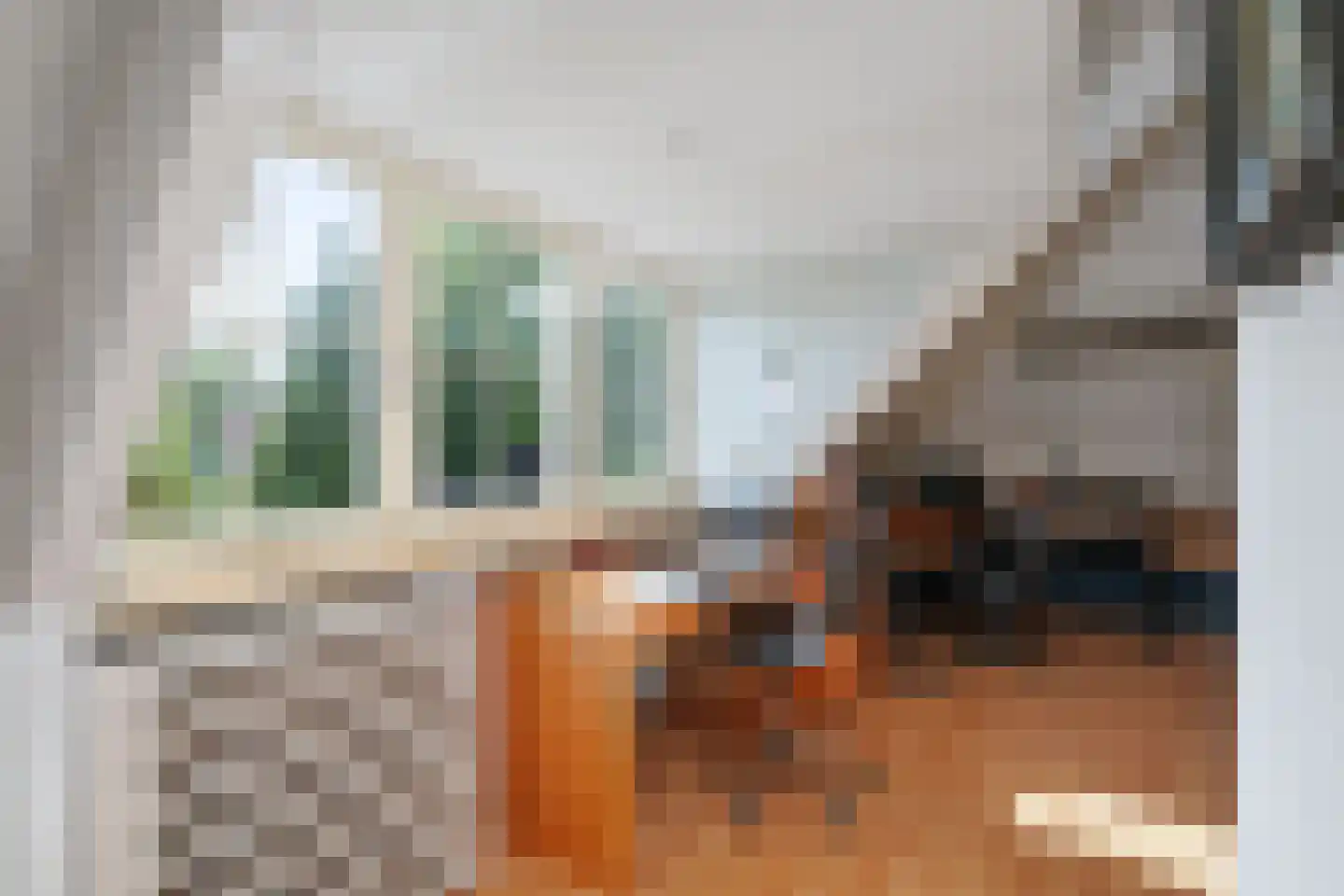 Schimmelpennincksingel 96 Diepenveen thumbnail 27