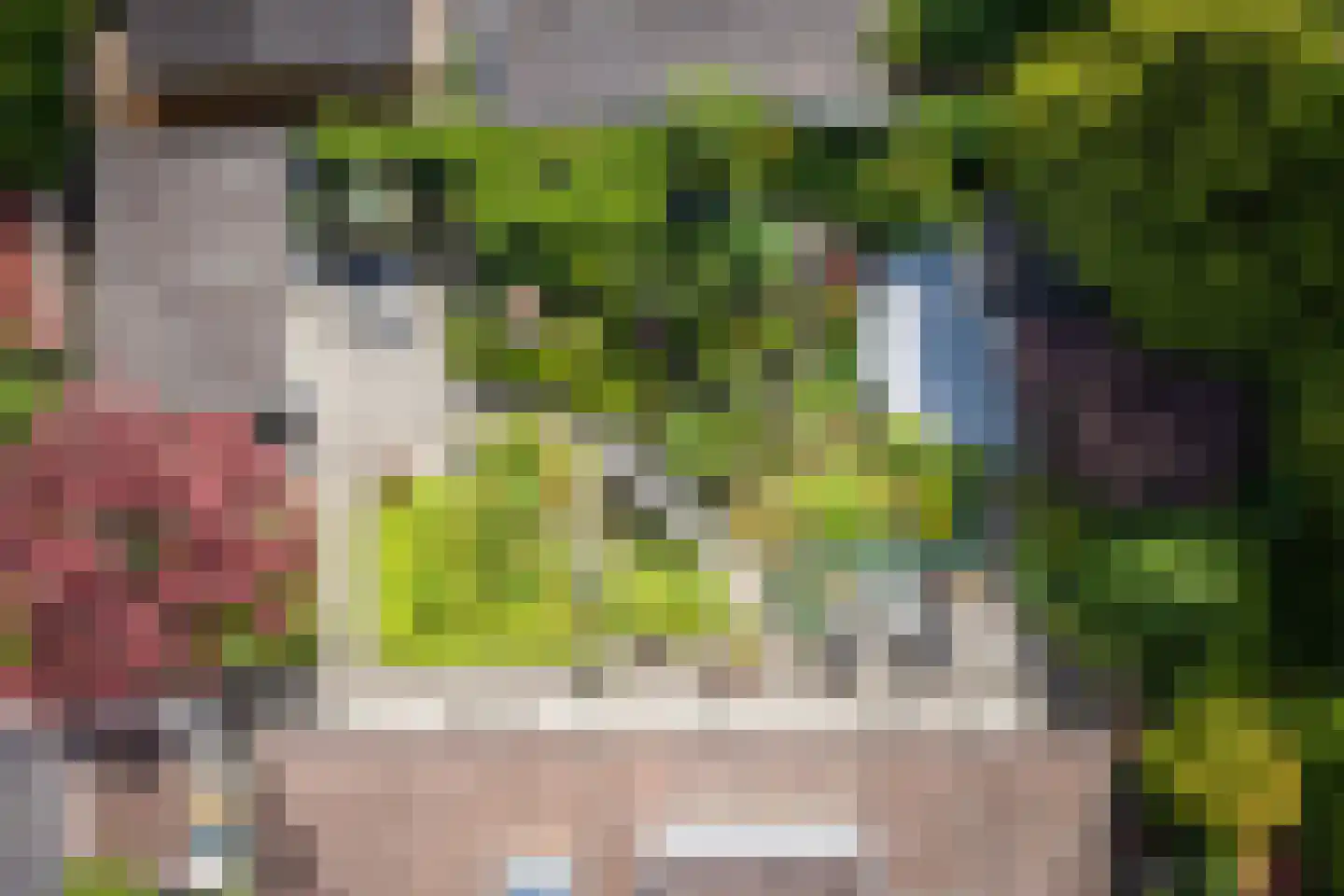 Schimmelpennincksingel 96 Diepenveen thumbnail 4
