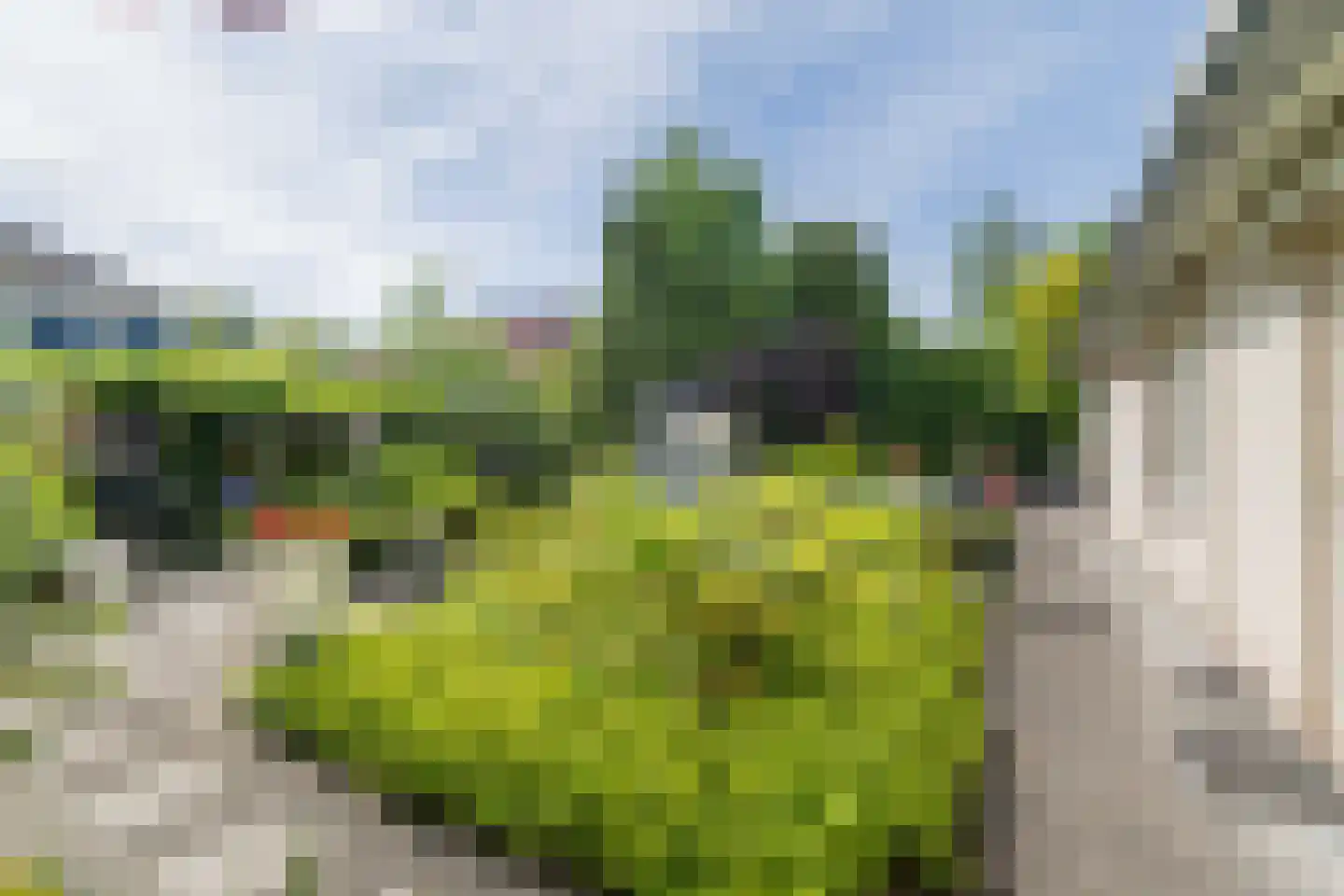 Schimmelpennincksingel 96 Diepenveen thumbnail 43