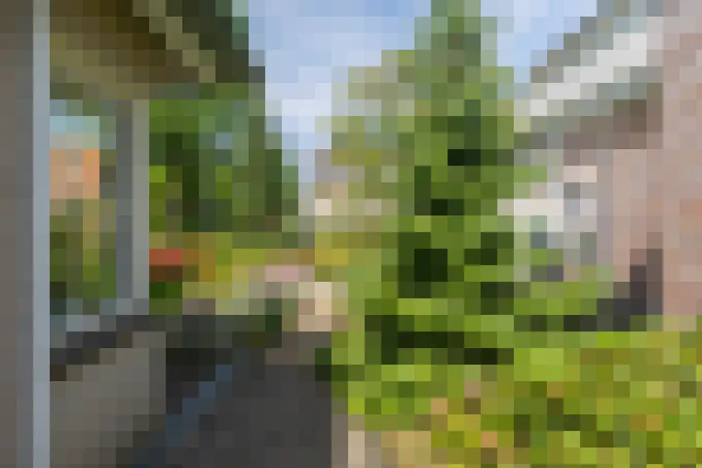 Schimmelpennincksingel 96 Diepenveen thumbnail 46