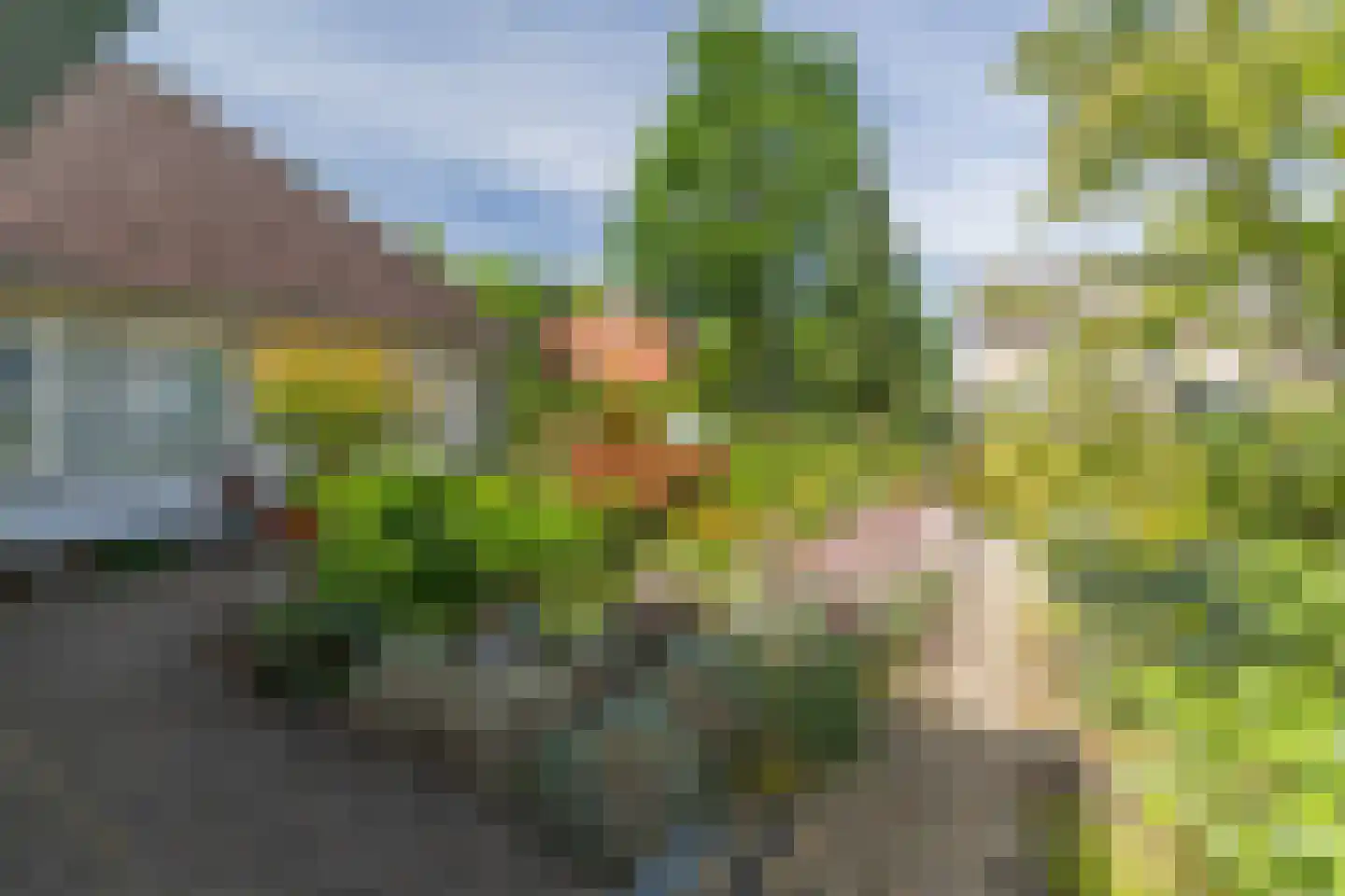 Schimmelpennincksingel 96 Diepenveen thumbnail 47
