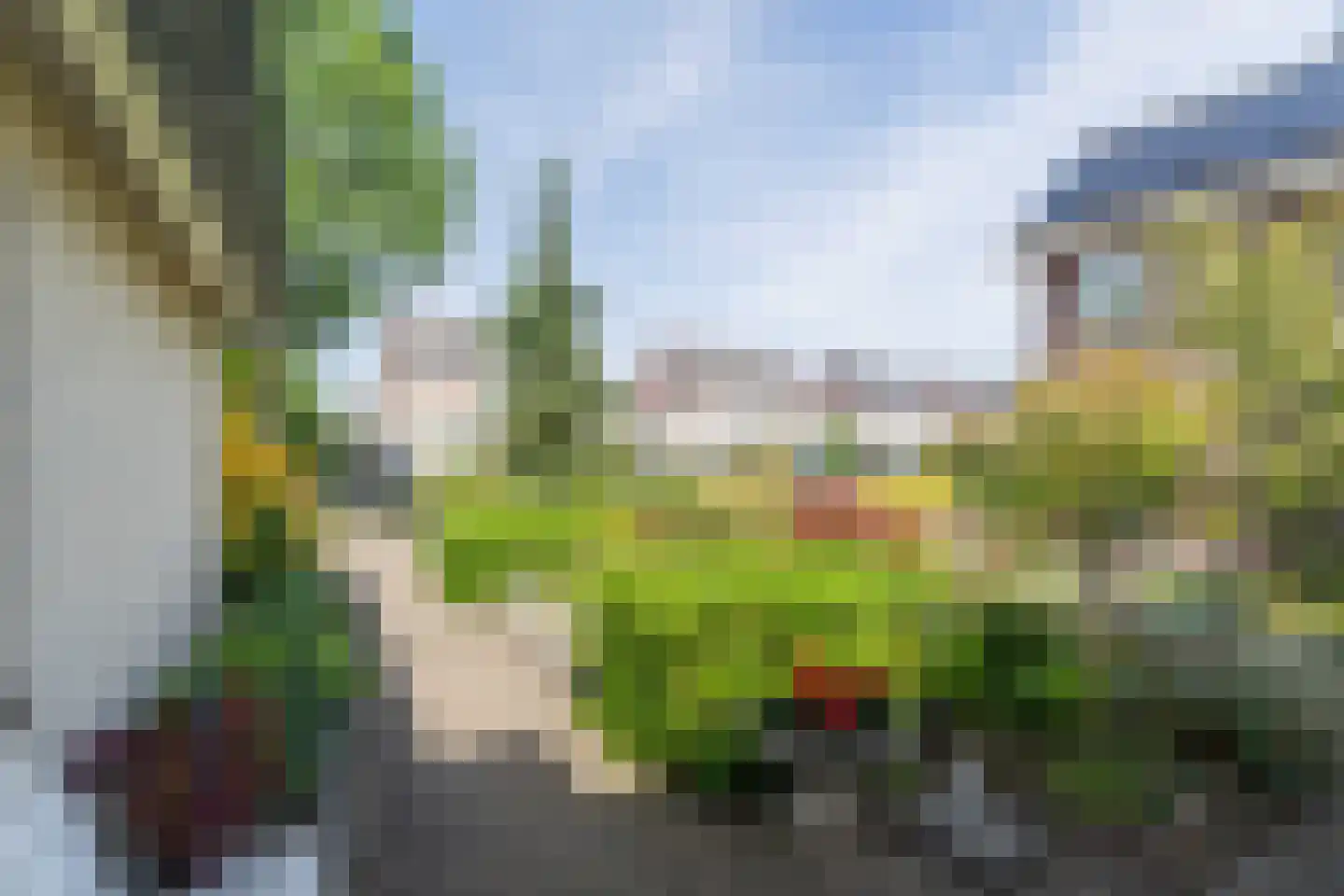 Schimmelpennincksingel 96 Diepenveen thumbnail 48