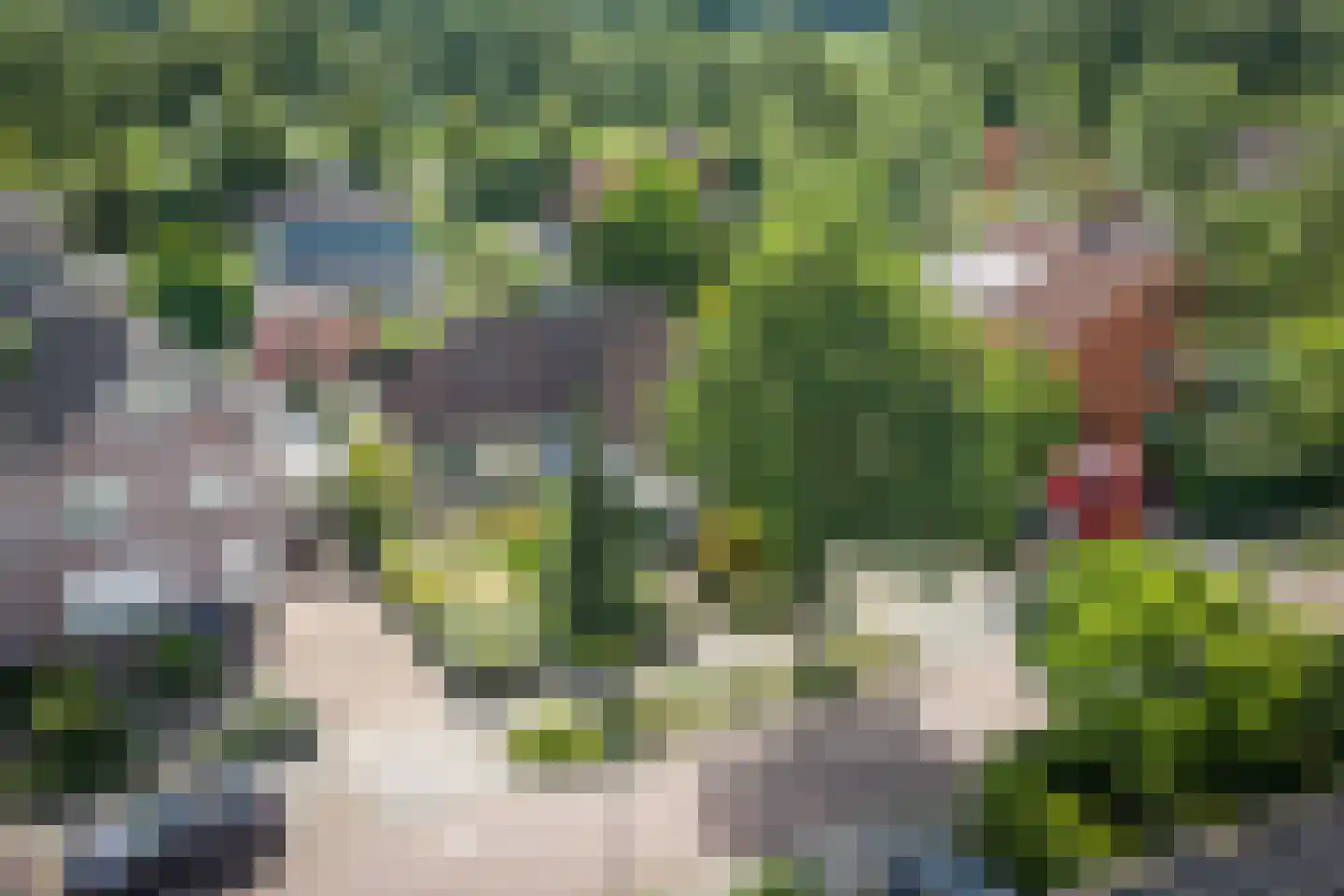 Schimmelpennincksingel 96 Diepenveen thumbnail 5