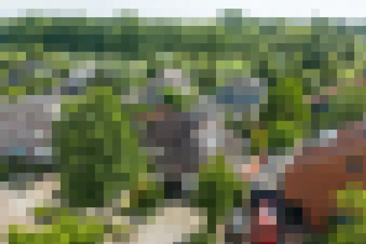 Schimmelpennincksingel 96 Diepenveen thumbnail 50