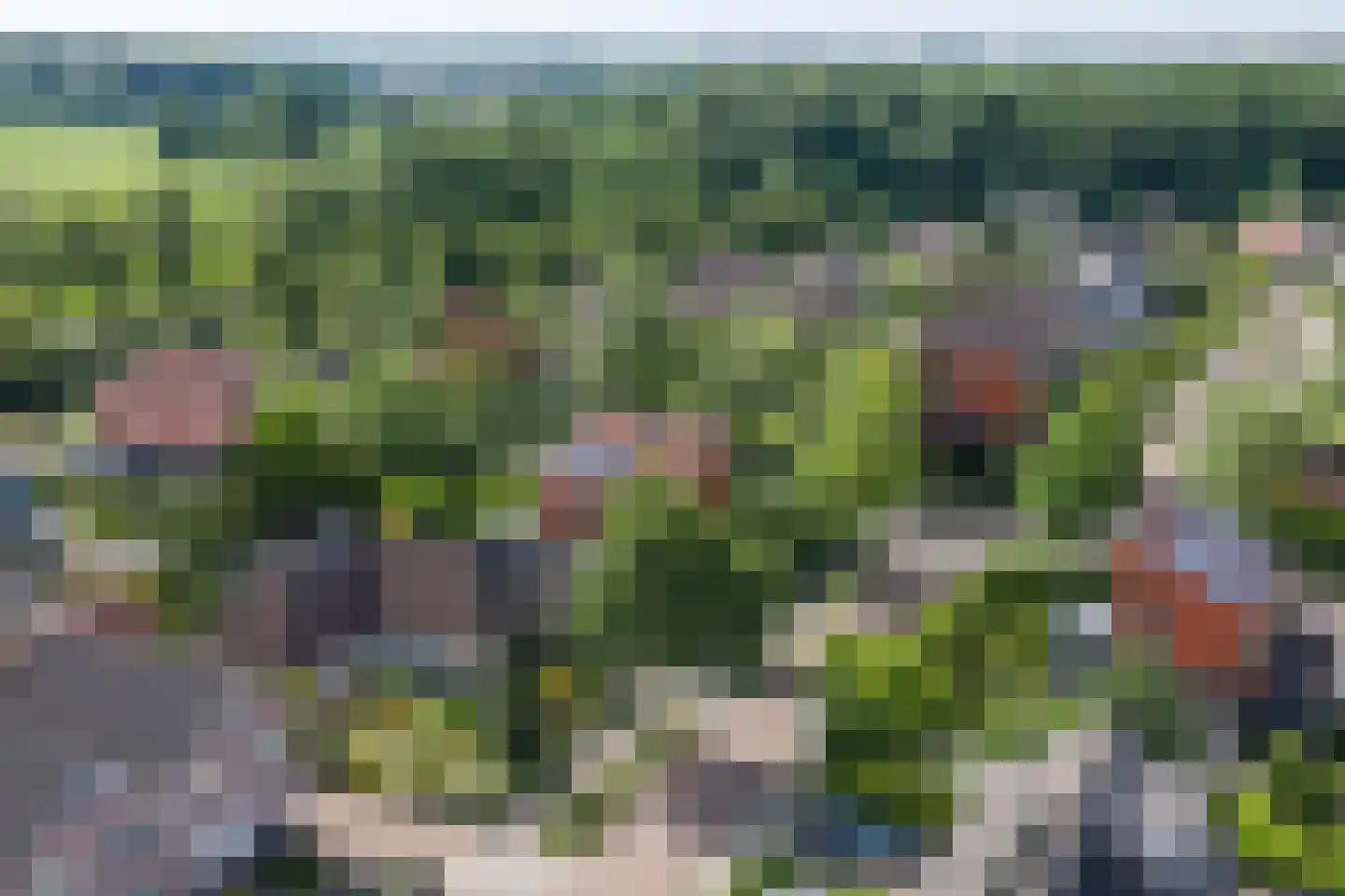 Schimmelpennincksingel 96 Diepenveen thumbnail 51