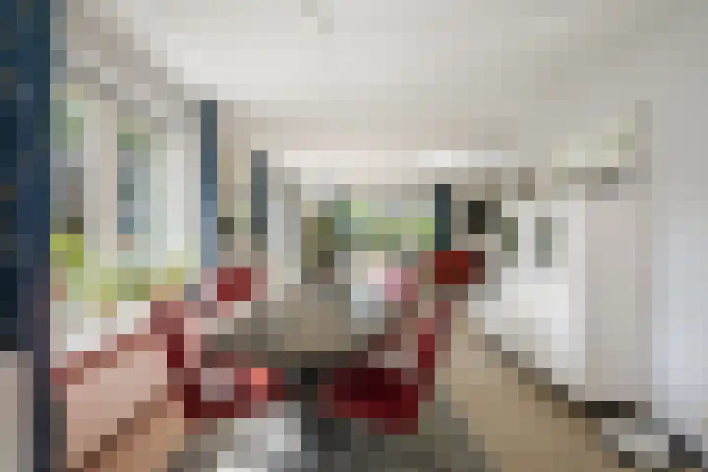 Schimmelpennincksingel 96 Diepenveen thumbnail 9